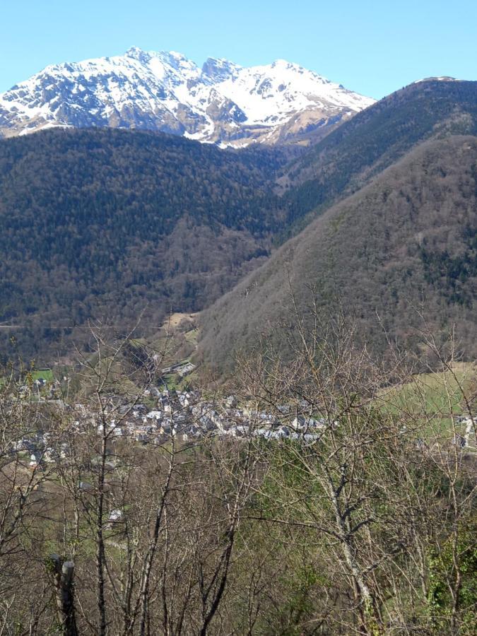 Appartement 2 à 4 personnes le Pyrénéen à Arreau carrefour des activités de montagne Extérieur photo