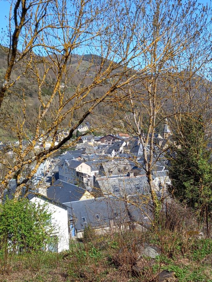 Appartement 2 à 4 personnes le Pyrénéen à Arreau carrefour des activités de montagne Extérieur photo